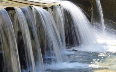 Efectos e Importancia Regulación en Agua y Saneamiento