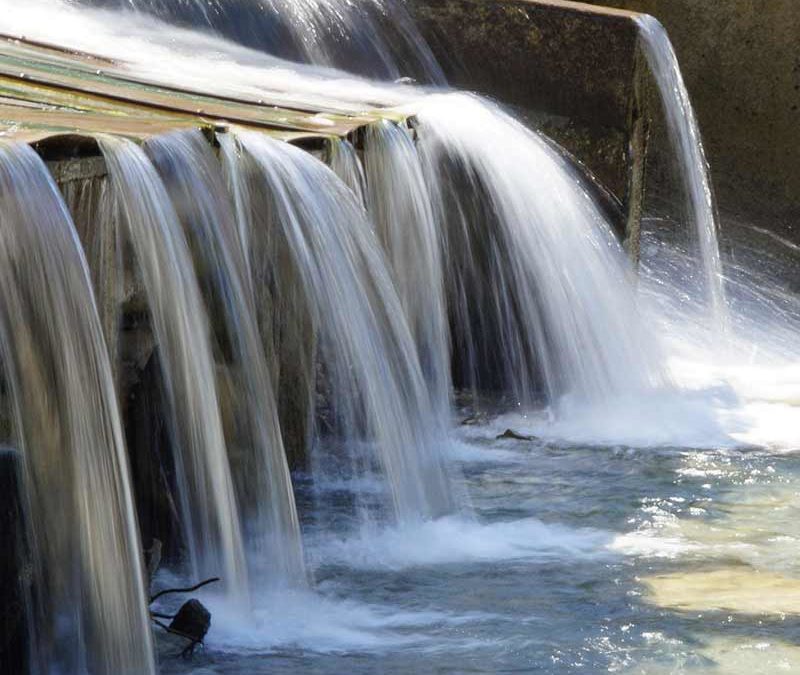 Efectos e Importancia Regulación en Agua y Saneamiento